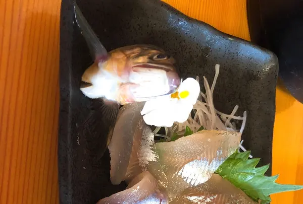 美濃観光ヤナの写真・動画_image_217967