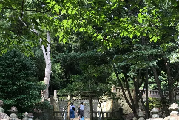 久能山東照宮の写真・動画_image_218168