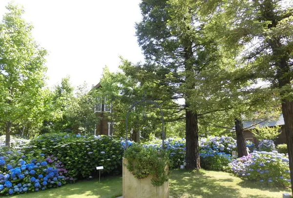 ロッジ舞洲（舞洲野外活動センター）の写真・動画_image_218172