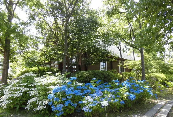 ロッジ舞洲（舞洲野外活動センター）の写真・動画_image_218173