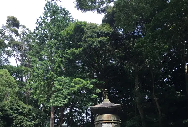 久能山東照宮の写真・動画_image_218183