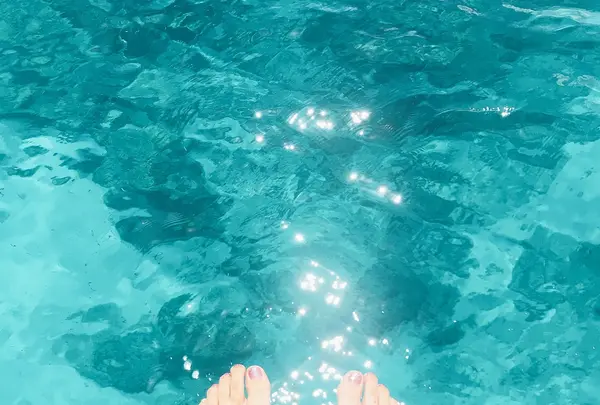 慶良間諸島周辺の写真・動画_image_218410
