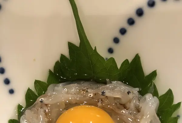 一扇の写真・動画_image_218491