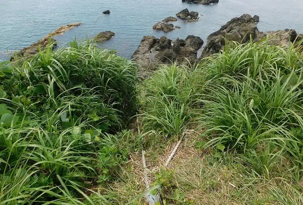 金ヶ崎温泉の写真・動画_image_218774