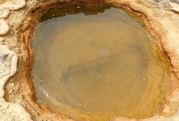 金ヶ崎温泉の写真・動画_image_218779