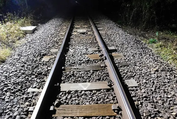 日本の写真・動画_image_218800