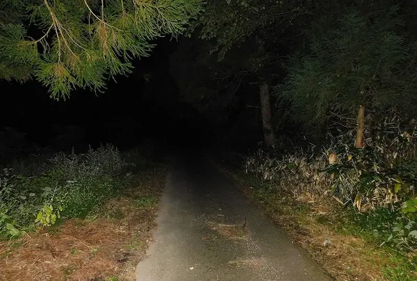 日本の写真・動画_image_218802