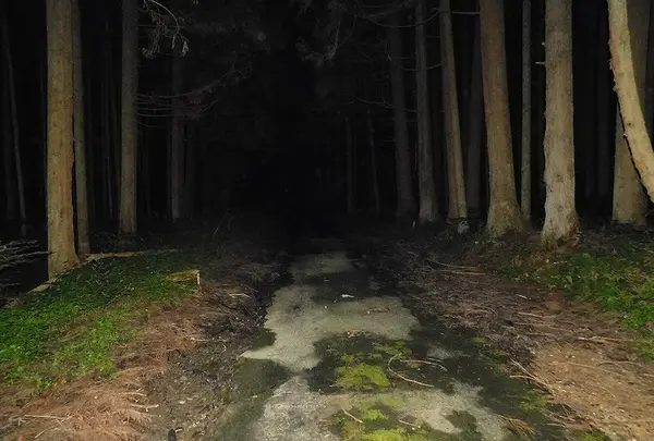 日本の写真・動画_image_218804