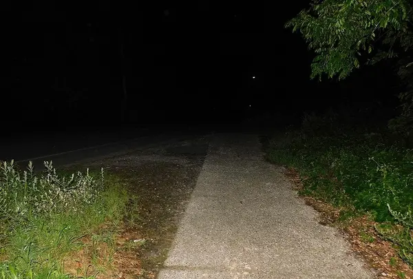 日本の写真・動画_image_218807