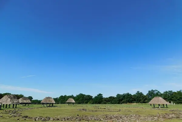 大湯環状列石の写真・動画_image_218812