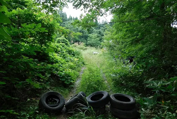 杉沢村の写真・動画_image_218835