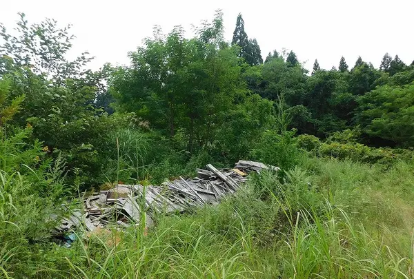 杉沢村の写真・動画_image_218838