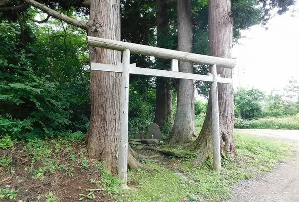 杉沢村の写真・動画_image_218840