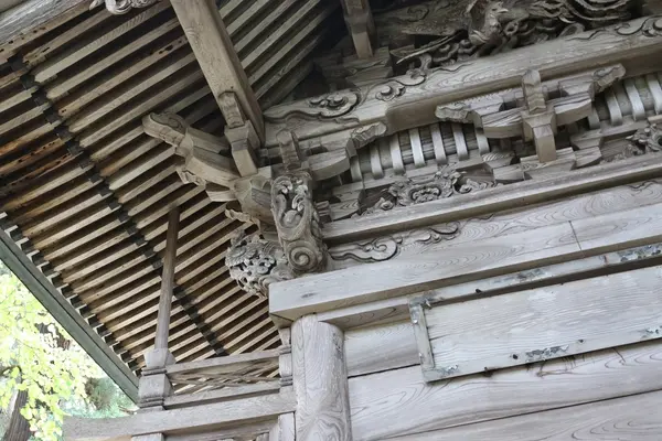 熊野大社の写真・動画_image_219106