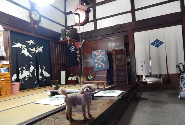 武久商店の写真・動画_image_219156