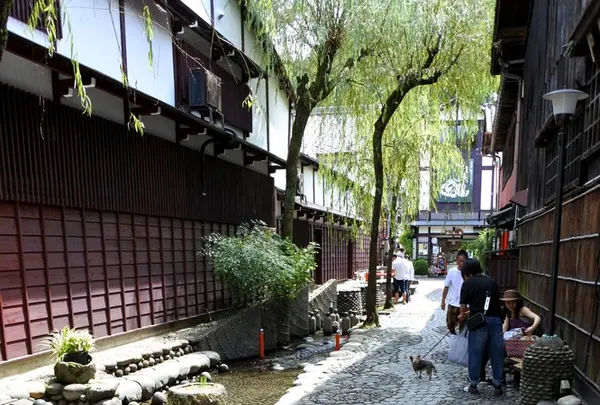 郡上八幡の写真・動画_image_219206
