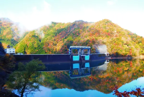 みどり湖の写真・動画_image_219289