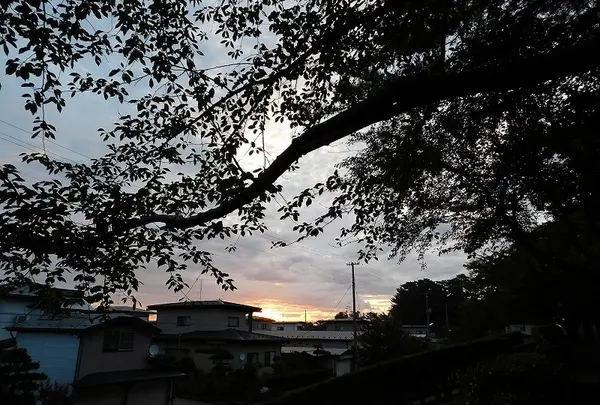 船越近隣公園の写真・動画_image_219309