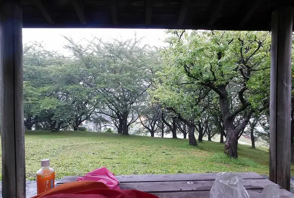 花岡公園の写真・動画_image_219323