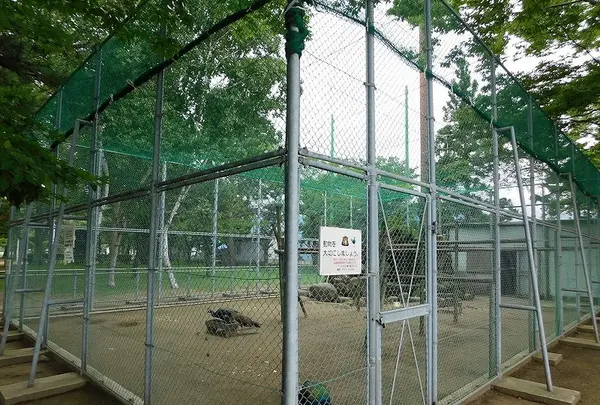 合浦公園の写真・動画_image_219328