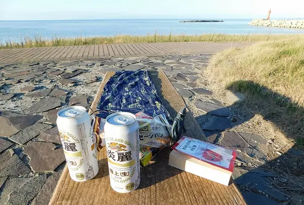 男鹿温泉郷の写真・動画_image_219330