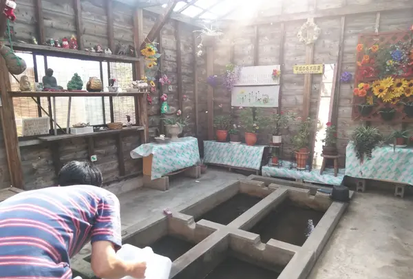 お台場の水の写真・動画_image_219421