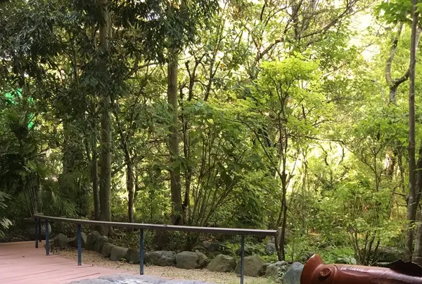 箱根吟遊の写真・動画_image_219435