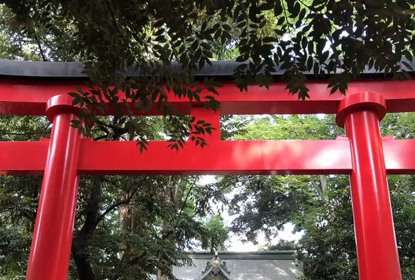 豊川稲荷東京別院の写真・動画_image_219667