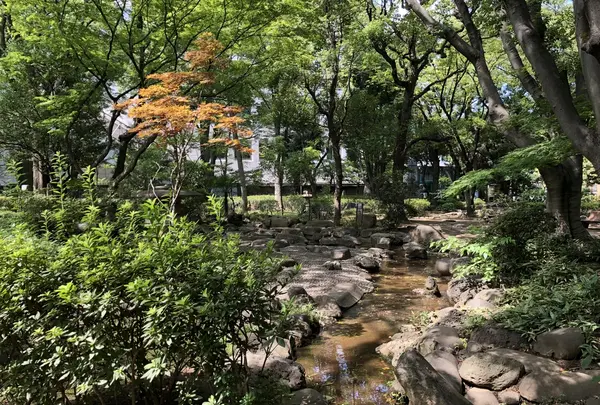 高橋是清翁記念公園の写真・動画_image_219689