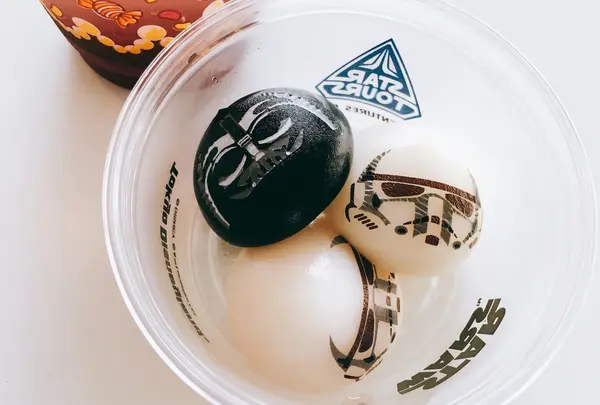 東京ディズニーランドの写真・動画_image_219835