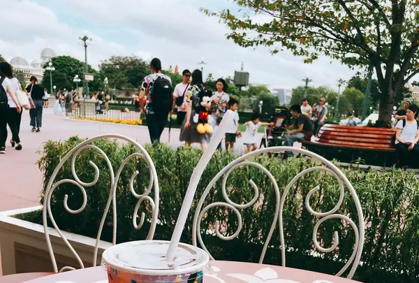 東京ディズニーランドの写真・動画_image_219836