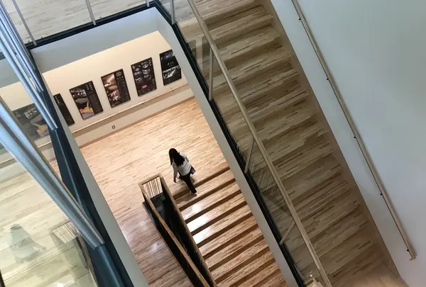 綱島源泉 湯けむりの庄の写真・動画_image_219925