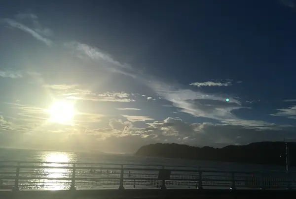 逗子海岸の写真・動画_image_220047