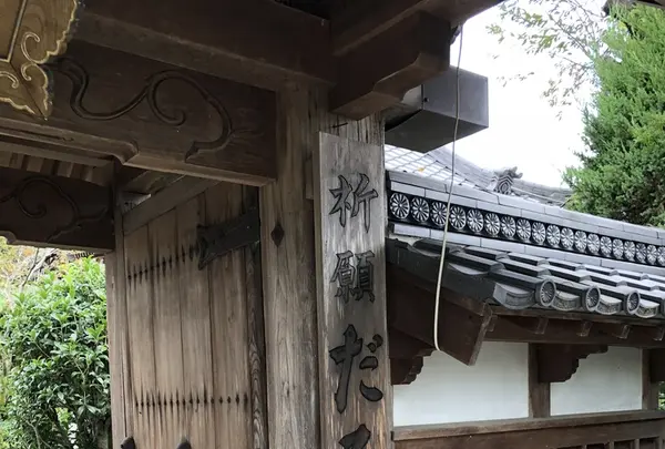 江西寺（だるま寺）の写真・動画_image_220077