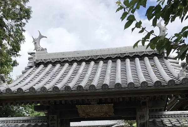 江西寺（だるま寺）の写真・動画_image_220082