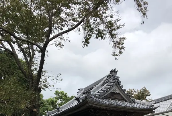 江西寺（だるま寺）の写真・動画_image_220084