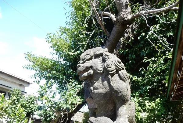 諏訪神社の写真・動画_image_220118