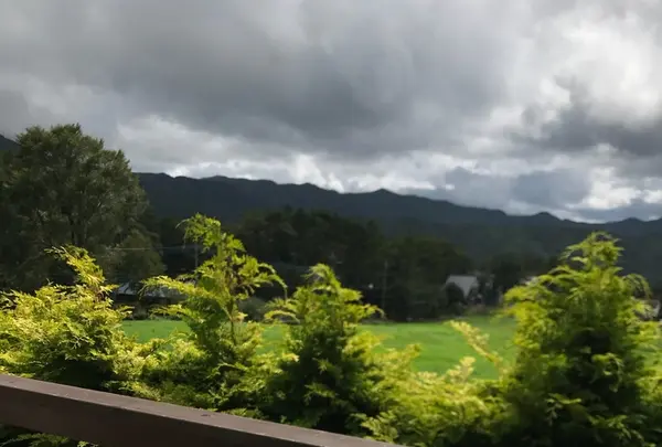 清里ジャムの写真・動画_image_220123