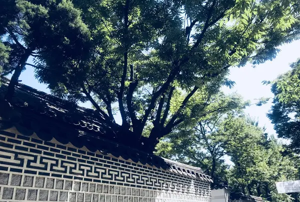 感古堂キルの写真・動画_image_220269