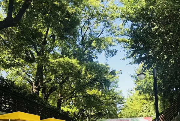 感古堂キルの写真・動画_image_220270