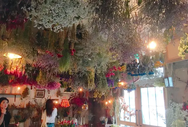 ドライフラワーと暮らしのお店 その灯ぐらし猫洞店の写真・動画_image_220786