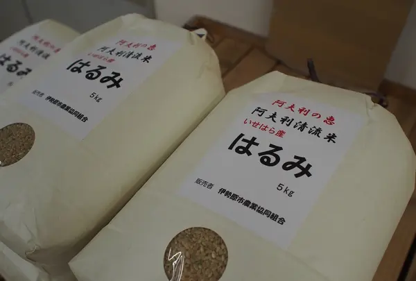 あふり~な 伊勢原店の写真・動画_image_220792