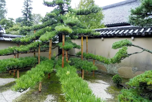 真珠庵の写真・動画_image_220800