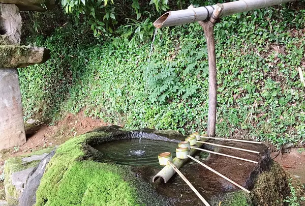 神魂神社の写真・動画_image_220808