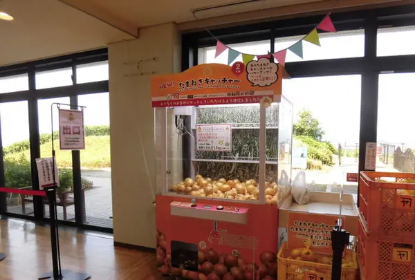うずの丘　大鳴門橋記念館の写真・動画_image_220905