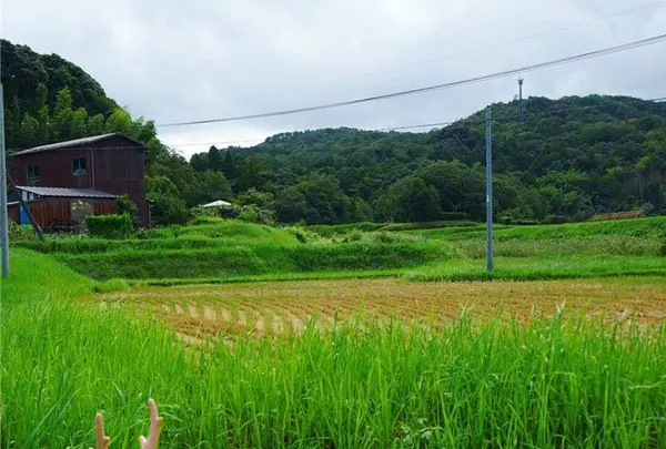 はにわロードの写真・動画_image_221002