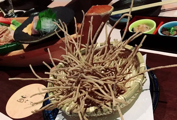 茜どきの写真・動画_image_221005