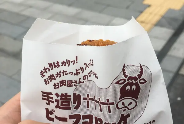 松江ニューアーバンホテル・別館の写真・動画_image_221086