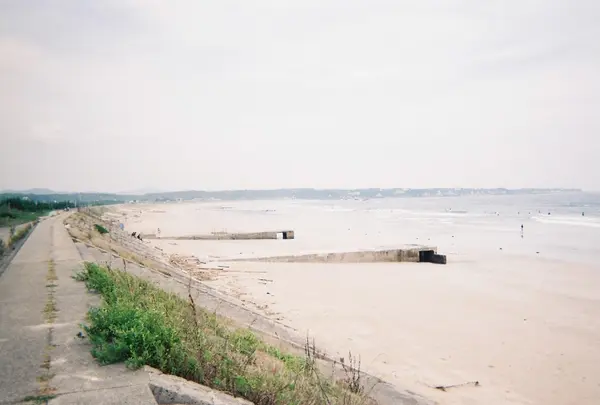 阿児の松原海水浴場の写真・動画_image_221093