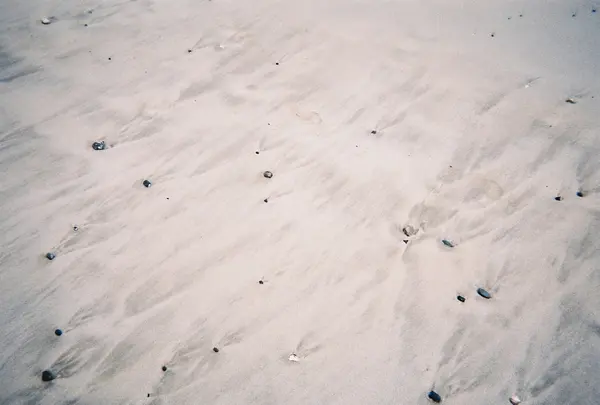 阿児の松原海水浴場の写真・動画_image_221094